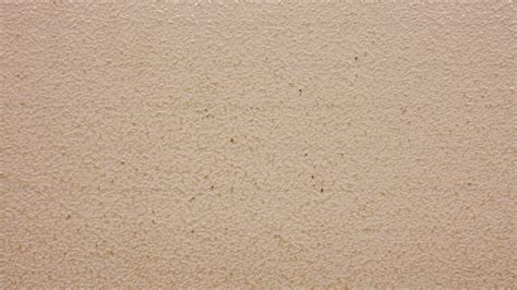 Light Brown Abstract Wall Texture Hd Paper Backgrounds Plaster