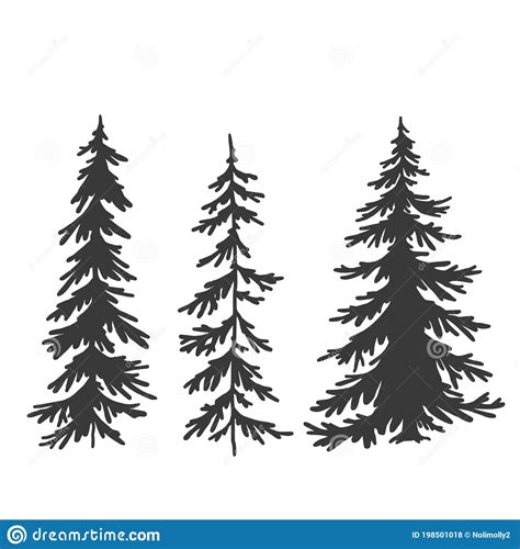 Spruce Tree Set Vector Hand Drawing Silhouette Stock Vector