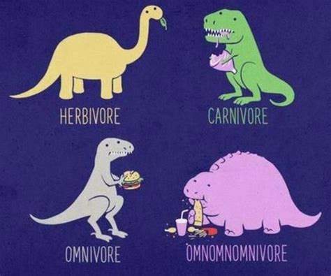 Dinosaurs Herbivore Carnivore Omnivore Omnomnomnivore Animals