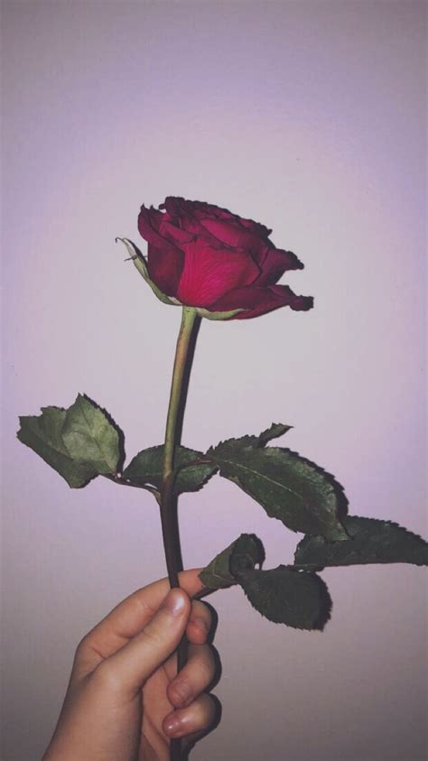 We did not find results for: Grunge Rose Aesthetic Desktop Wallpapers - Top Free Grunge ...