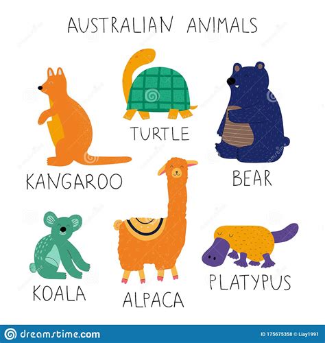 Hand Drawn Colorful Australian Animals Collection With Names Stock