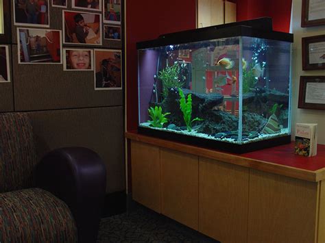 Day Care Facilities Armco Aquariums Serving Philadelphia Wilmington
