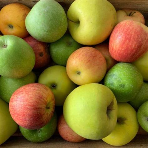 Pomme 10kg