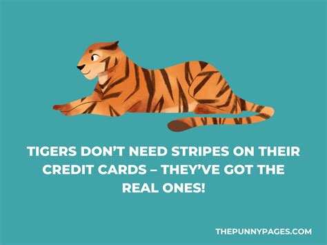 100 Funny Tiger Jokes And Puns