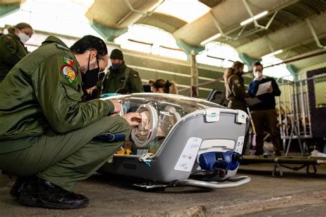 Harmonization Training Medevac For A A Rea Portuguesa Flickr