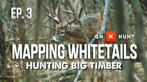 How To Hunt Big Woods Bucks Mapping Whitetails Youtube