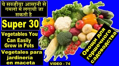 Someone selling fruit might like to also offer vegetables, or if he sells. Super 30 vegetables you can grow at home in pots|Gardening ...