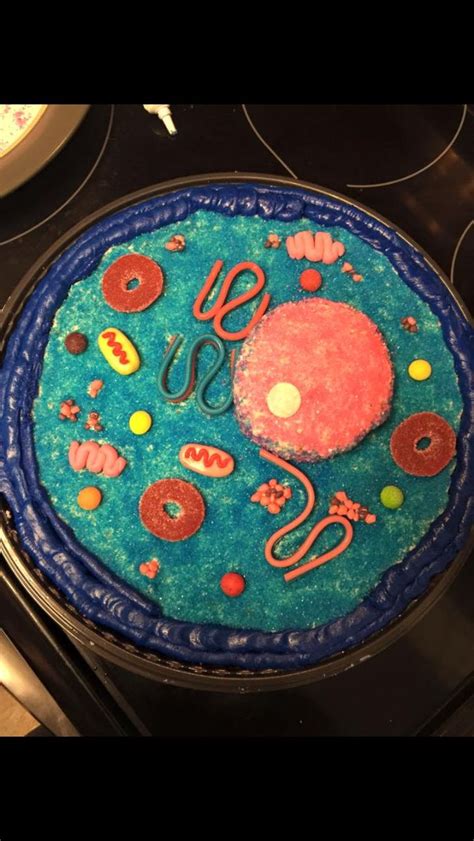 Animal Cell Project Ideas Pin On Cell Project Learn About Cells For
