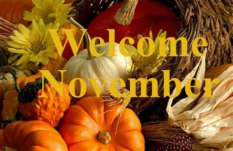💗🍂💗🍁💗🍂💗🍁 Welcome November November Images Happy November