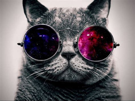 Galaxy Cat With Glasses Memes Imgflip