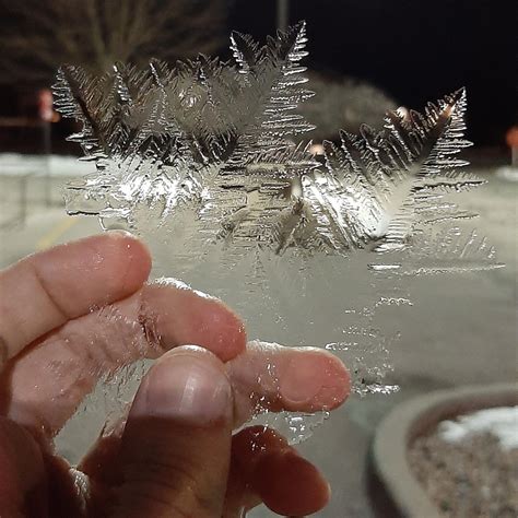 This Ice Crystal That Looks Like A Snowflake Mildlyinteresting