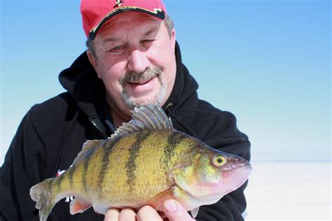 Jumbo Perch Ice Fishing The Hill Restaurant Lounge And Motel