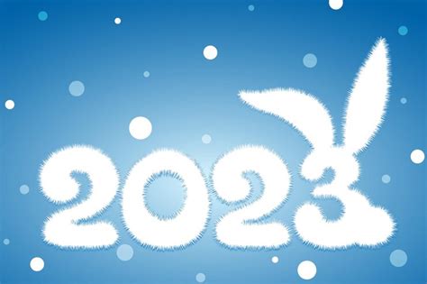 Süße Winterliche Flauschige Weiße Karikatur 2023 Neujahrsnummer Mit