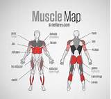 Muscle Exercise Names