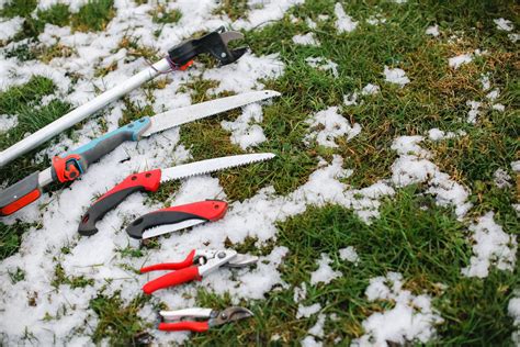 How To Take Care Of Your Lawn During Winter Tagg