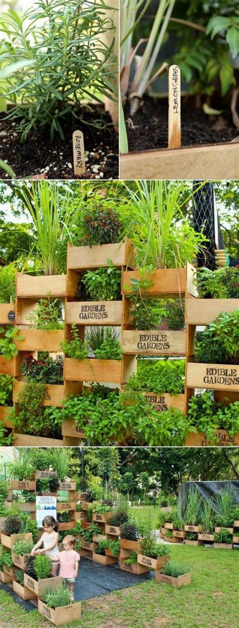 14 Diy Herb Garden Ideas For Vertical Indoor Gardening