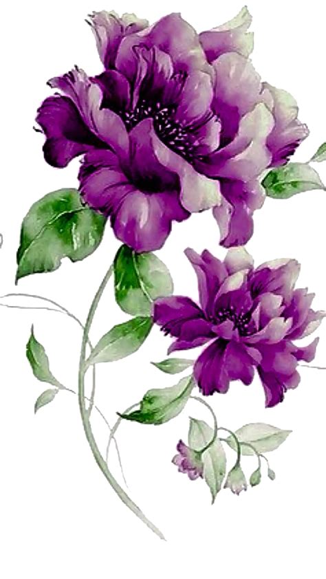 Pin By Nati Fernandez On Картинки на белом фоне Flower Art Purple