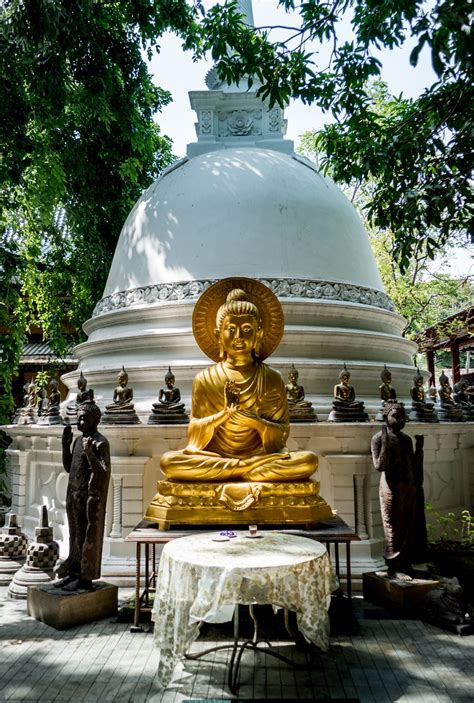 Buddha Statue And Stupa Wandervisions