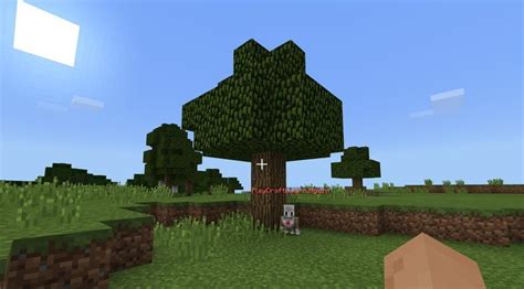 How to get rid of agent in minecraft education edition. Minecraft Command Remove Trees - Aviana Gilmore