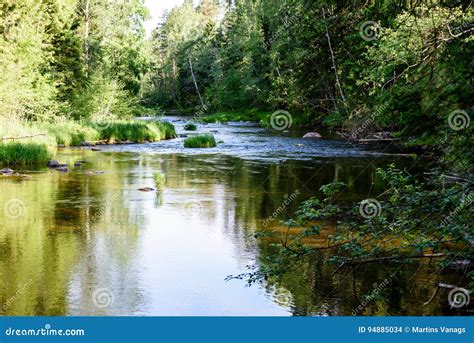 Beautyful Morning Light Over Forest River Stock Photo Image Of River