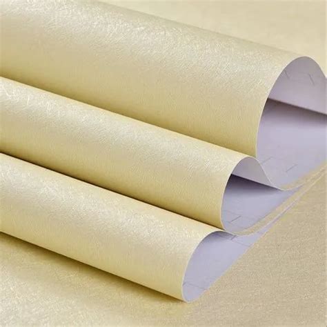 Plain Self Adhesive Paper 150 Size 2030 At Best Price In New Delhi