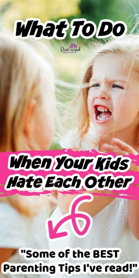 What To Do When Your Kids Hate Each Other · Pint Sized Treasures