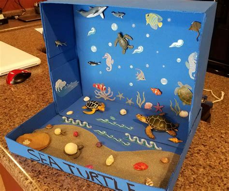 Sea Turtle Shoebox Diorama Ocean Projects Animal Projects Animal