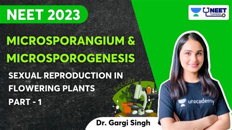 Microsporangium And Microsporogenesis Part 1 Neet 2023 Dr Gargi