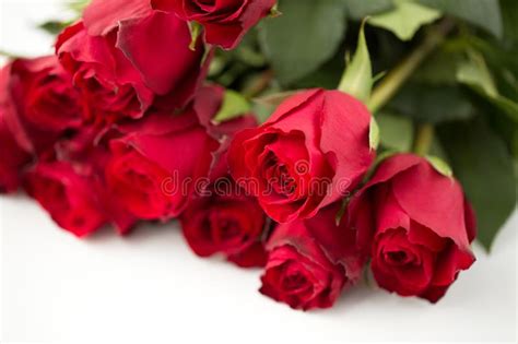Close Up Of Red Roses Bunch Stock Image Image Of Flower Plant 133433123