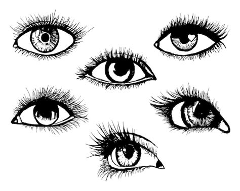 Premium Vector Set Line Drawings Of Different Eyes Black And White Design