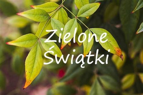 Święto to występuje także pod nazwą pięćdziesiątnicy, bowiem obchodzi się je 50. Zielone Światki 20 maja - Forma Klub