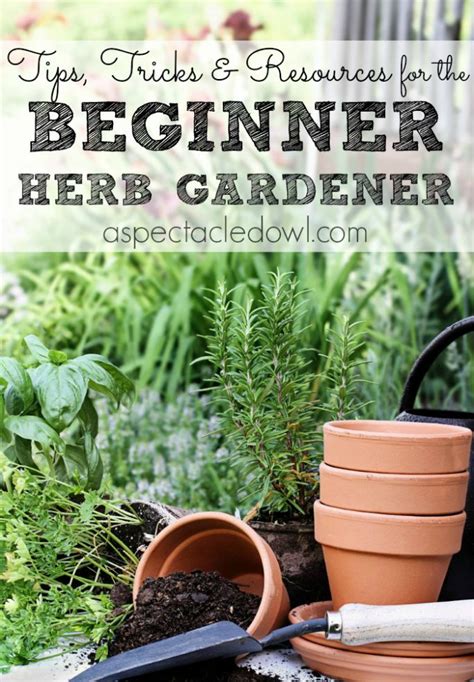 Tips Tricks And Resources To Grow Your Own Herb Garden A Spectacled Owl