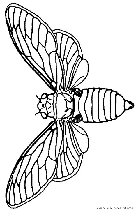 Moth coloring pages are a fun way for kids of all ages to develop creativity, focus, motor skills and color recognition. Download Moth coloring for free - Designlooter 2020 👨‍🎨
