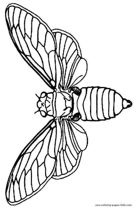 Technically the oak moth quilt uses 10 different fabrics (including background), so i used these color schemes more as a jumping off point and then added two additional colors to complete the mock up. Moth coloring, Download Moth coloring for free 2019
