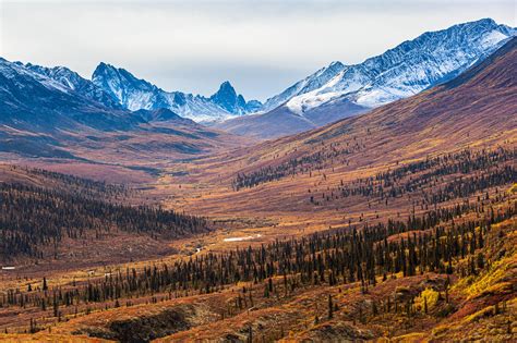 Fall Colors At Its Best In Tombstone Yukon — Nicolas Dory