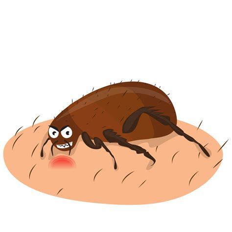 Spider Bite Cartoon