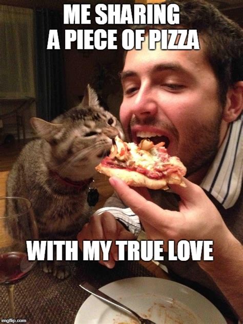 Image Tagged In Pizza Cat Imgflip