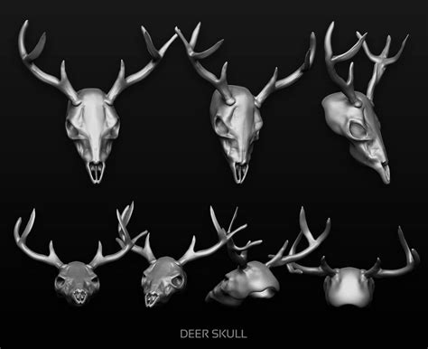 Deer Skull By Matylly Deer Skulls Deer Skull