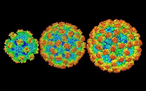 It is highly contagious, and it spreads from an infected person when someone has contact with: Norovirus - Symptoms, Causes, Risk Factors & Top 03 ...