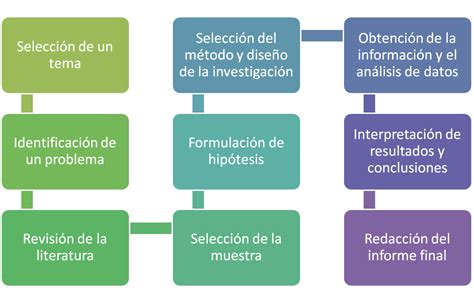 Fases Y Etapas De La Investigacion Cuantitativa Flashcards Images