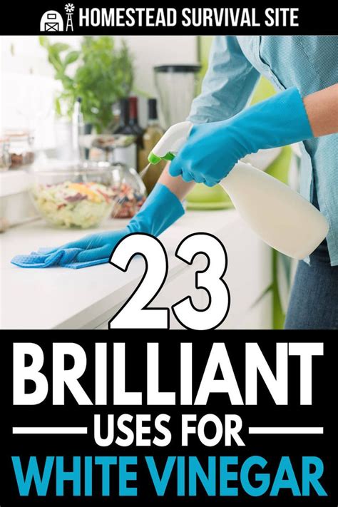 The Cover Of 23 Brilliant Uses For White Vinegar In Home Based