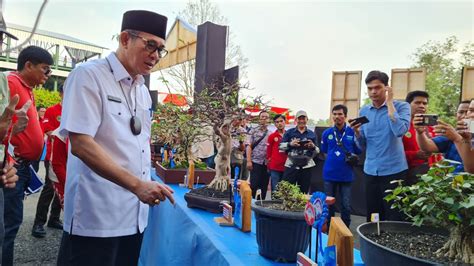 Heri Amalindo Bangga Pali Tuan Rumah Kontes Bonsai Nasional