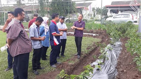 Dalam meniti arus kemodenan hari ini. "Kempen Pertanian Di Hatiku" Tarik Minat Bercucuk Tanam ...