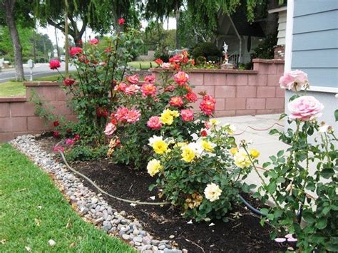 Small Backyard Rose Garden Ideas Climax Webcast Photogallery