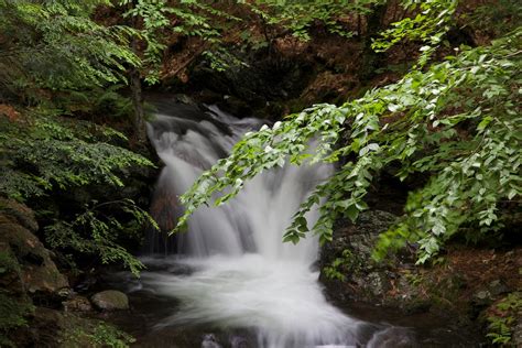 Waterfalls Between Green Plants · Free Stock Photo