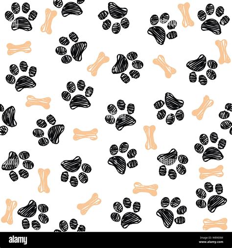 Dog Paw Print High Resolution Stock Photography And Images Alamy