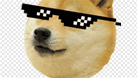 Shiba Inu Doge Sticker Decal Overwatch Others Carnivoran Dog Like