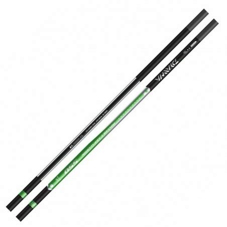 MEGA PROMO Canne pêche Daiwa Power Carp Margin 550 Canne Emmanchement Daiwa