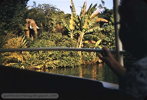 Gorillas Don T Blog The Jungle Cruise March 1958