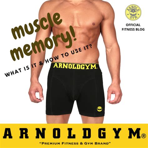 What Is Muscle Memory And How To Use It Arnold Gym Gear